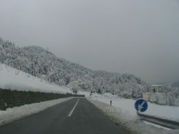 foto neve del 24 novembre 2005 6